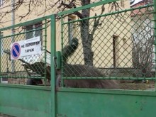 Птица Ему живее в столичен квартал! Съседите: Тук е голямо шоу