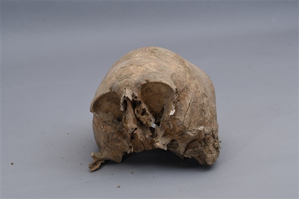 Неизвестни "подхвърлиха" изчезналия череп от гробницата в източния некропол на Августа Траяна в Стара Загора