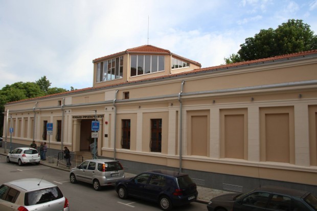 TD Природонаучният музей в Пловдив открива на изложба по повод 100