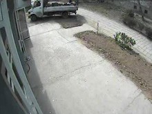 Шофьор реши да маневрира в прясно засадената маслинова градинка
