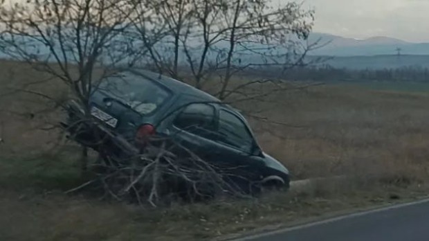 Кола се качи на дърво след катастрофа на пътя Пловдив - Карлово