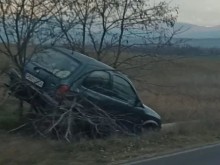Кола се качи на дърво след катастрофа на пътя Пловдив - Карлово