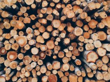 Новите промени в Закона за горите гарантират осигуряването на дърва за огрев