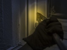 Разбиха и обраха офис на нотариус