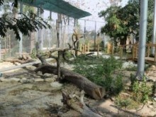 Пловдив остава без зоологическа градина