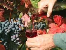 Зам.-министърът на земеделието: България трябва да се цели в американския и азиатските пазари на вино