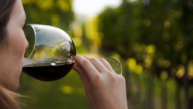 Как се дегустира вино Поглеждаме виното помирисваме виното отпиваме и