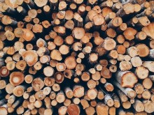 120 куб. м незаконно добита дървесина, установиха проверки на ЮЦДП – Смолян за месец