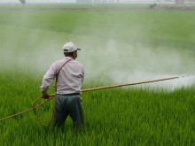 Пестицидите оказват сериозна вреда върху нервната ни система