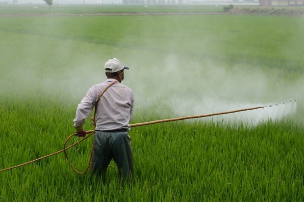 Пестицидите имат широка употреба в световен мащаб за стимулиране на