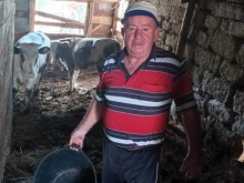 Животновъд: За 1 кг сирене са нужни 5 л мляко, реалната му цена, с печалбата заедно, е десетина лева