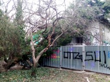 Дърво се стовари върху къща във Варна