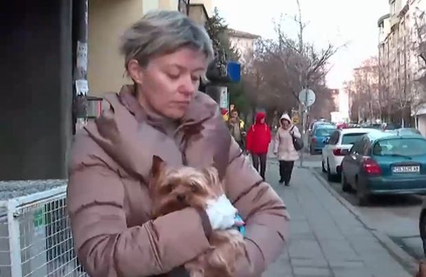 ���� ������� ���������� � �������� � �������