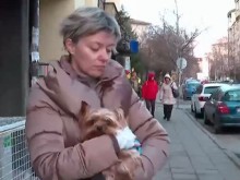 Куче нападна жена и домашния й любимец