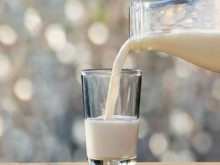 Качествено мляко за 90 ст. от Румъния, Украйна и Унгария залива родния пазар 