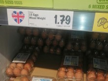 Истина? Вижте тази снимка!