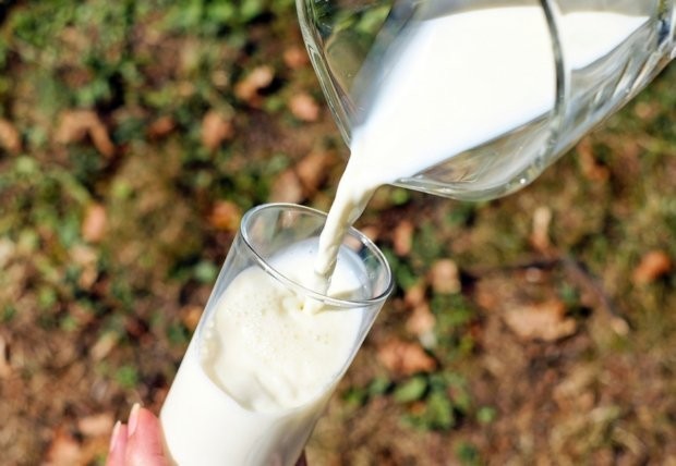 Председателят на Асоциацията на млекопреработвателите: Фермерът не може да е донор и просяк