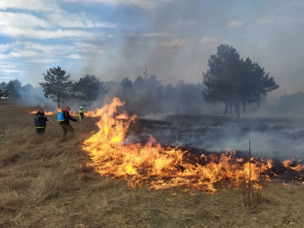 Пожарът в боровата гора край Нови пазар е ликвидиран