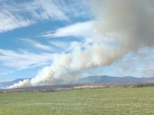 5 екипа огнеборци се борят с голям пожар в Пловдивско