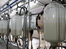 Млекар: Ако един продукт е с цена 30 лв. в хранителните вериги, 40% - 12 лв. отиват за веригата