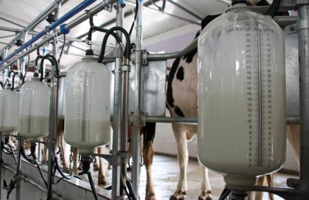 Има ли спекула при формиране на цената на млечните продукти