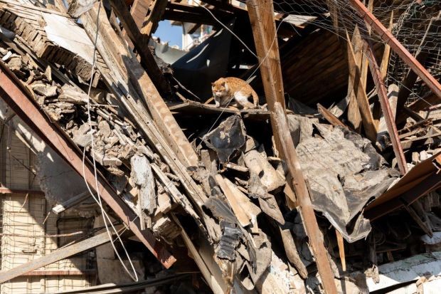 ЧЕТИРИ ЛАПИ в помощ на животните след опустошителните земетресения