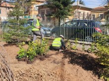 Обновяват градската градина в Дупница