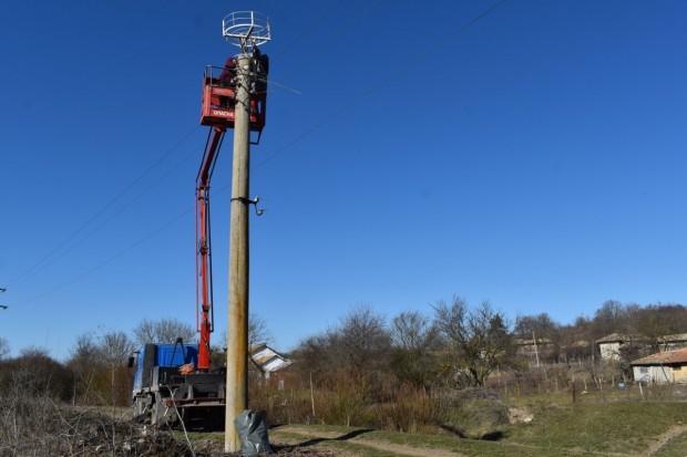 Възстановиха единственото щъркелово гнездо в Благоево