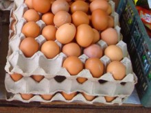 Манолова срещу спекулата: За Бога, братя, не купувайте "златните" яйца