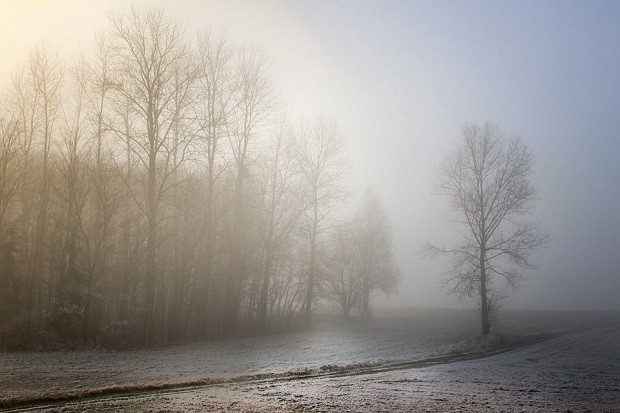 Мъгла намалява видимостта в района на Добрич