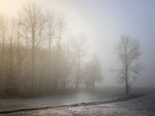 Мъгла намалява видимостта в района на Добрич