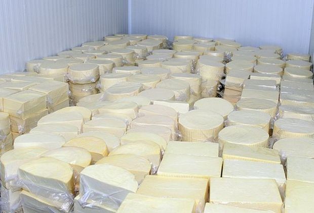 1 килограм сирене излиза от мандрата на около 13 лева