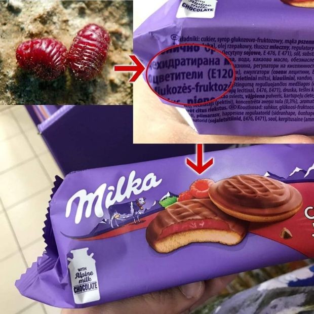���� ������ ������ ����� �������, ���� �� ���� ��������!