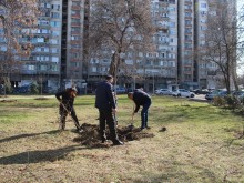 Проведоха две нови залесителни акции в район "Северен" в Пловдив
