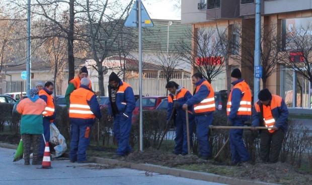 TD ОП Градини и паркове Пловдив набира работници предаде репортер