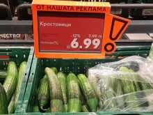 Производител: На нашия пазар няма български краставици