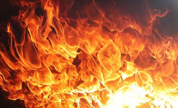 Осем пожара горят на територията на Югозападното държавно предприятие  горят предимно треви
