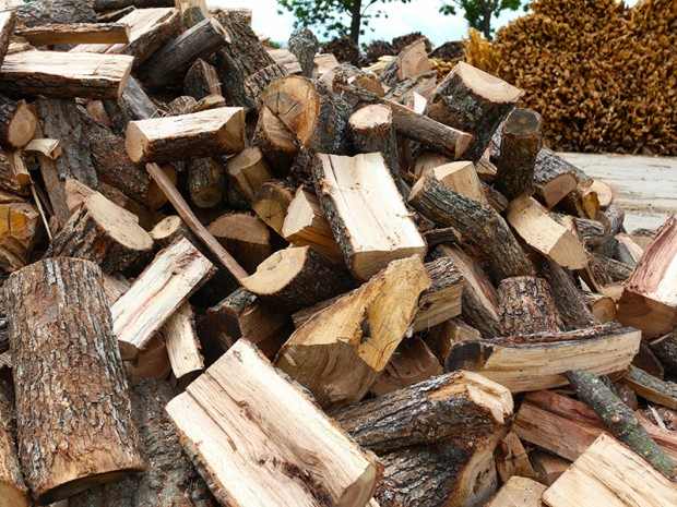 Досъдебно производство за превоз на дърва без документи бе образувано в Котел