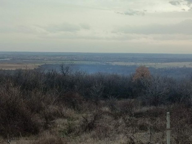 Пожарната в Пловдив призова пловдивчани да не палят сухи треви и отпадъци