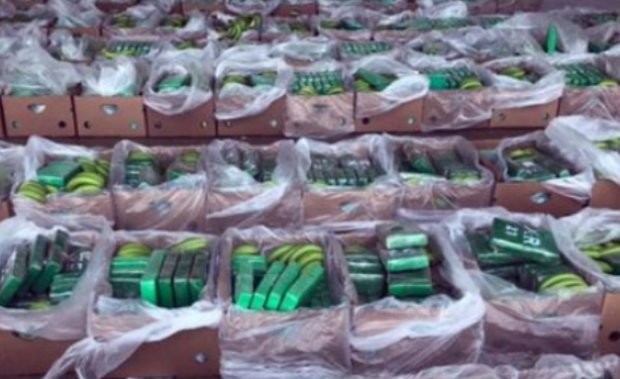 Полицията в Еквадор откри почти 8,8 тона кокаин в пратка банани, пътуваща