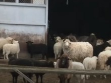 ����������� ������ �������� � ������� �� ������ � ������ ������