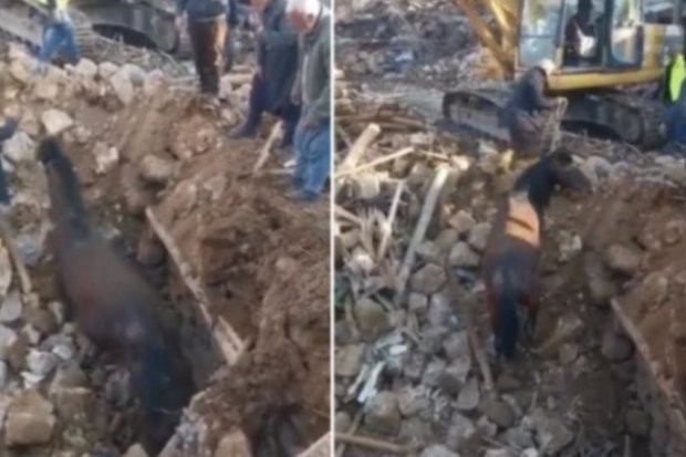 Ново чудо се случи в Турция след опустошителното земетресение от