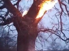 Страховита гледка, предизвикала огромна мъка и сълзи от безсилие