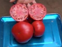 ��������: ������� ���� �� �� ��������� ���� ��� ���� � �������� �� ��������