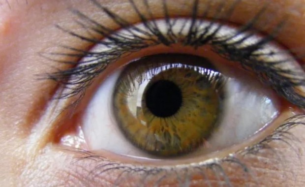 Увеличават се хората с глаукома у нас