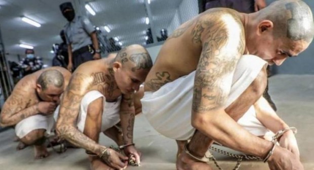 �������� �� �������: 100 ������ � �����, ��� ����� ������� ����� � ��� �������� � �����