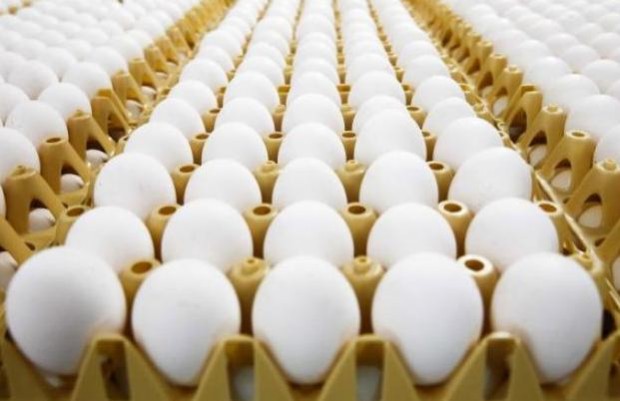 За Великден се очаква внос на яйца от Полша
