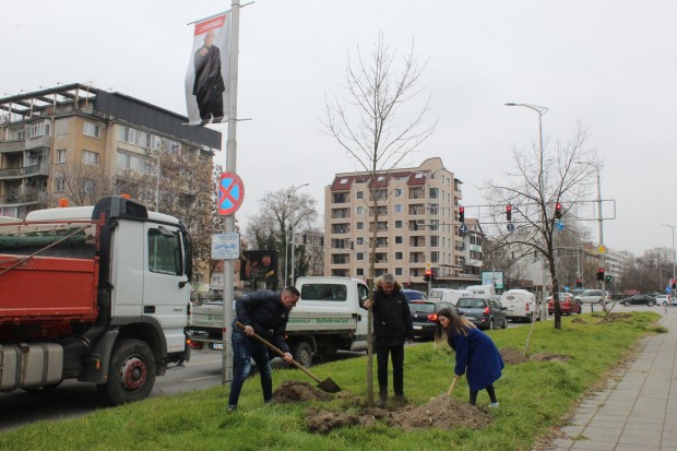 Проведоха две залесителни акции в район "Северен" - Пловдив