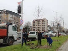Проведоха две залесителни акции в район "Северен" - Пловдив