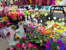 Смолянчани предпочитат саксийните цветя за 8 март